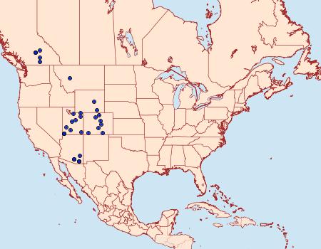 Distribution Data for Bruceia pulverina