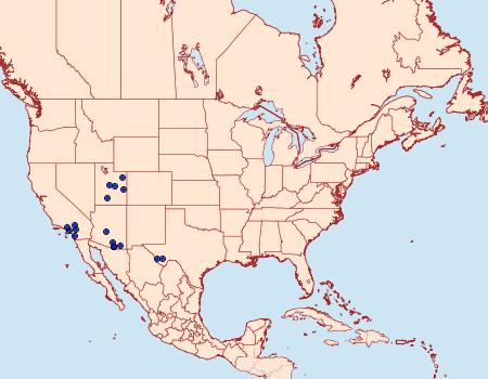 Distribution Data for Bruceia hubbardi