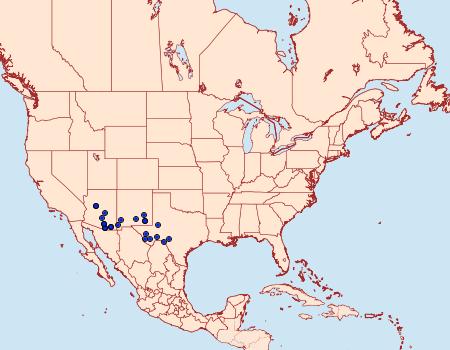 Distribution Data for Eudesmia arida