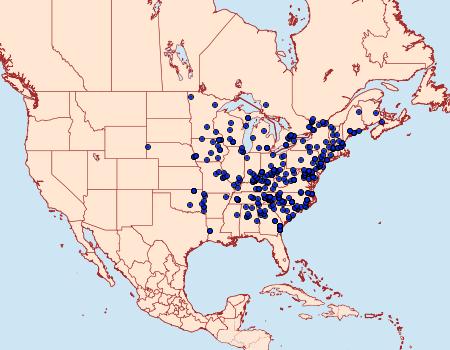 Distribution Data for Clemensia albata