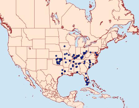 Distribution Data for Pagara simplex