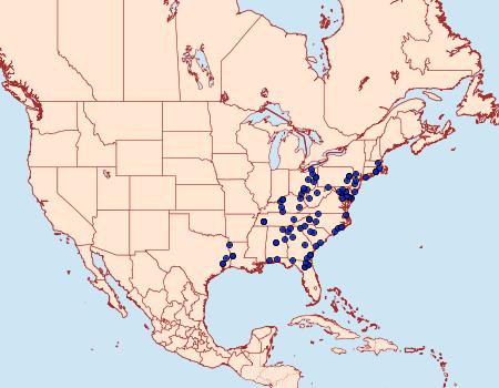 Distribution Data for Polygrammate cadburyi