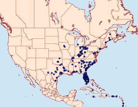 Distribution Data for Utetheisa ornatrix