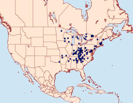 Distribution Data for Haploa contigua