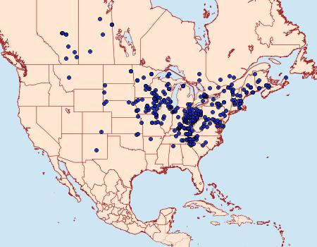 Distribution Data for Haploa lecontei