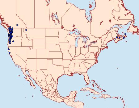 Distribution Data for Tyria jacobaeae