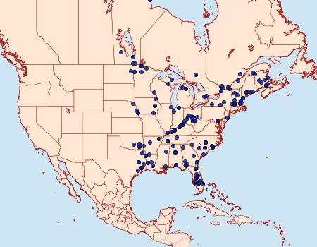 Distribution Data for Virbia laeta