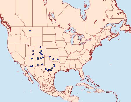 Distribution Data for Virbia costata