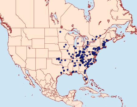 Distribution Data for Virbia opella