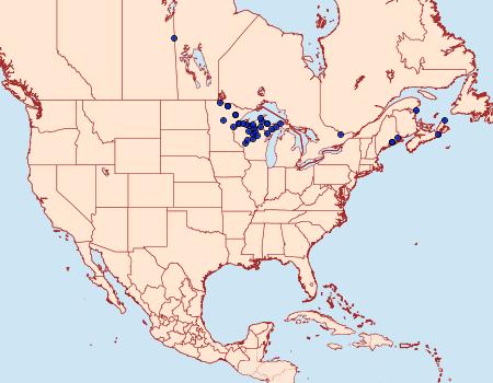 Distribution Data for Virbia lamae