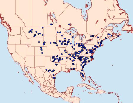 Distribution Data for Virbia aurantiaca