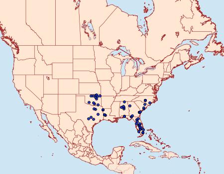 Distribution Data for Virbia rubicundaria