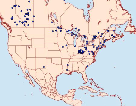 Distribution Data for Virbia ferruginosa