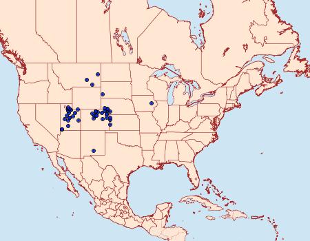 Distribution Data for Virbia fragilis