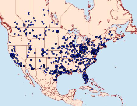 Distribution Data for Estigmene acrea