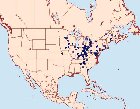 Distribution Data for Spilosoma latipennis