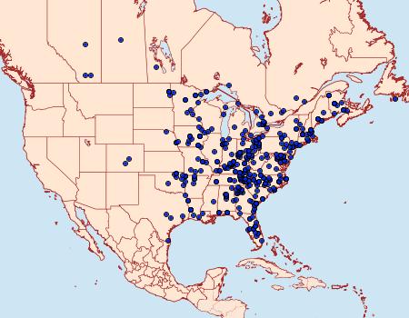 Distribution Data for Spilosoma congrua