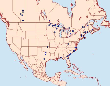 Distribution Data for Spilosoma dubia