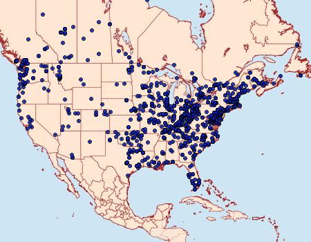 Distribution Data for Spilosoma virginica