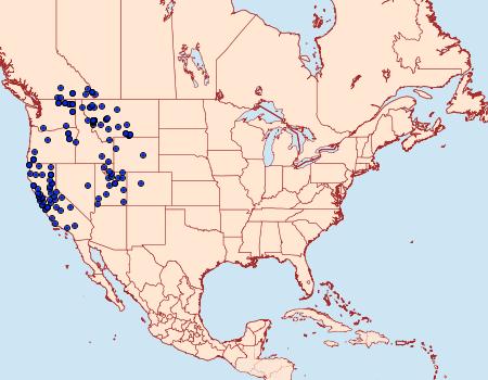 Distribution Data for Spilosoma vagans