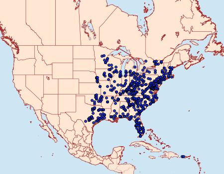 Distribution Data for Hypercompe scribonia