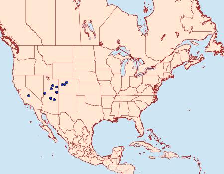 Distribution Data for Arachnis citra