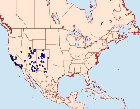 Distribution Data for Arachnis picta