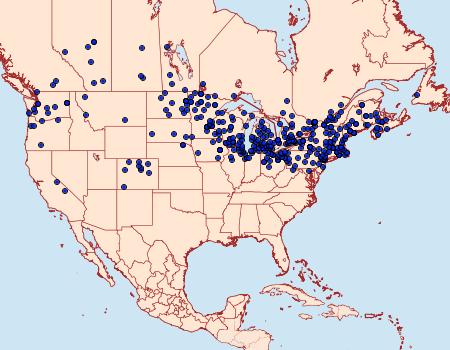 Distribution Data for Phragmatobia fuliginosa