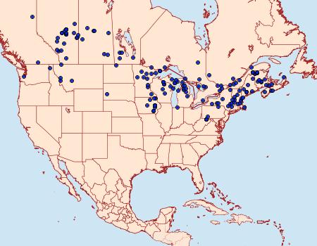 Distribution Data for Phragmatobia assimilans