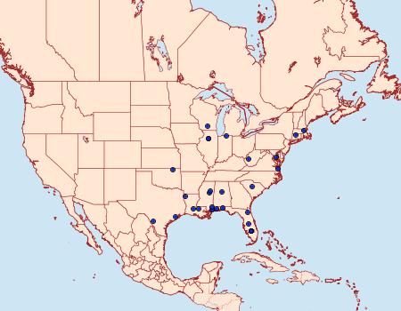 Distribution Data for Cameraria conglomeratella