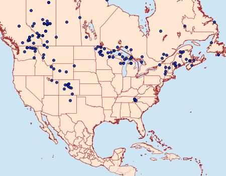 Distribution Data for Arctia parthenos