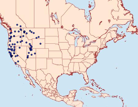 Distribution Data for Arctia virginalis