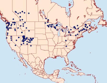 Distribution Data for Arctia caja