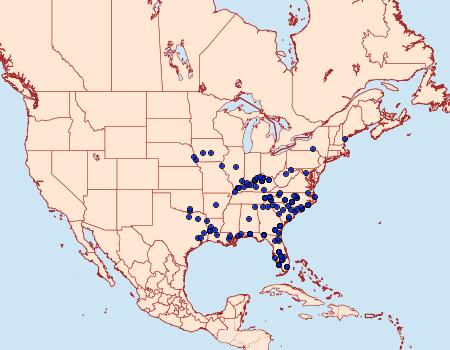 Distribution Data for Apantesis vittata