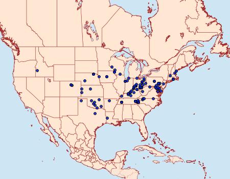 Distribution Data for Apantesis carlotta