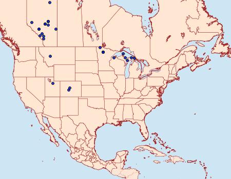 Distribution Data for Apantesis speciosa