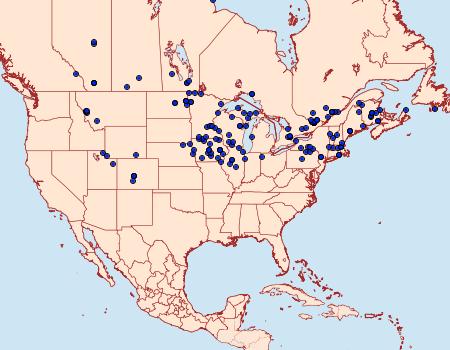 Distribution Data for Apantesis virguncula