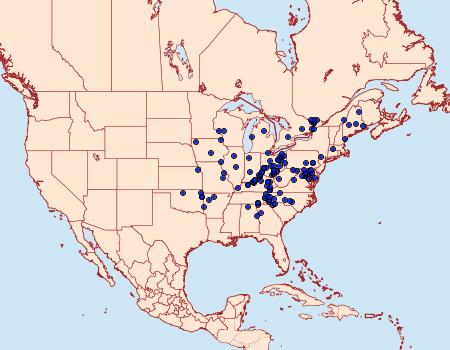 Distribution Data for Apantesis anna