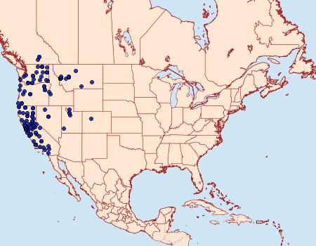 Distribution Data for Apantesis ornata