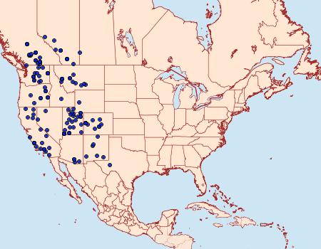 Distribution Data for Apantesis nevadensis