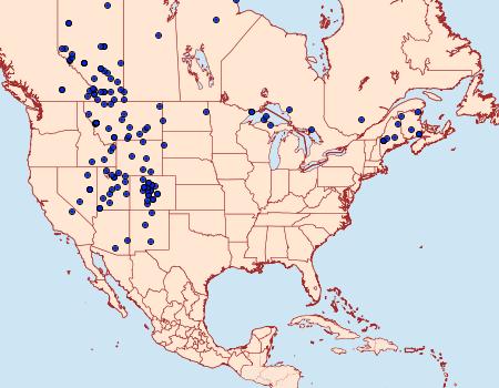 Distribution Data for Apantesis williamsii