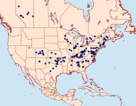 Distribution Data for Apantesis figurata