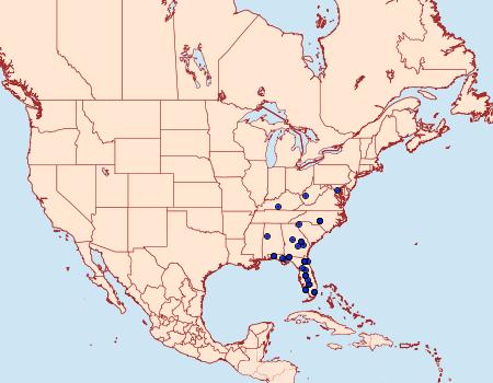 Distribution Data for Apantesis placentia