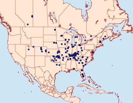 Distribution Data for Apantesis phyllira