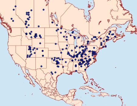 Distribution Data for Apantesis parthenice