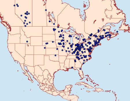 Distribution Data for Apantesis virgo