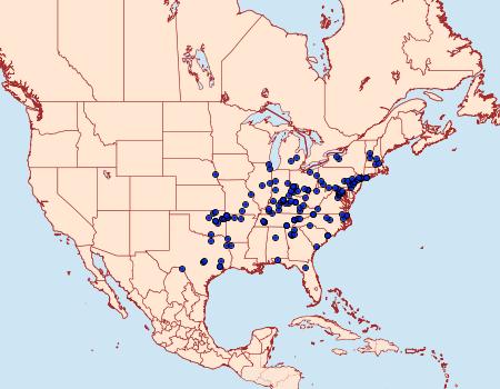 Distribution Data for Halysidota harrisii