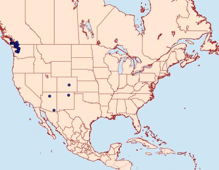 Distribution Data for Lophocampa roseata