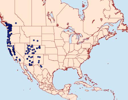 Distribution Data for Lophocampa argentata