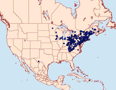 Distribution Data for Lophocampa caryae